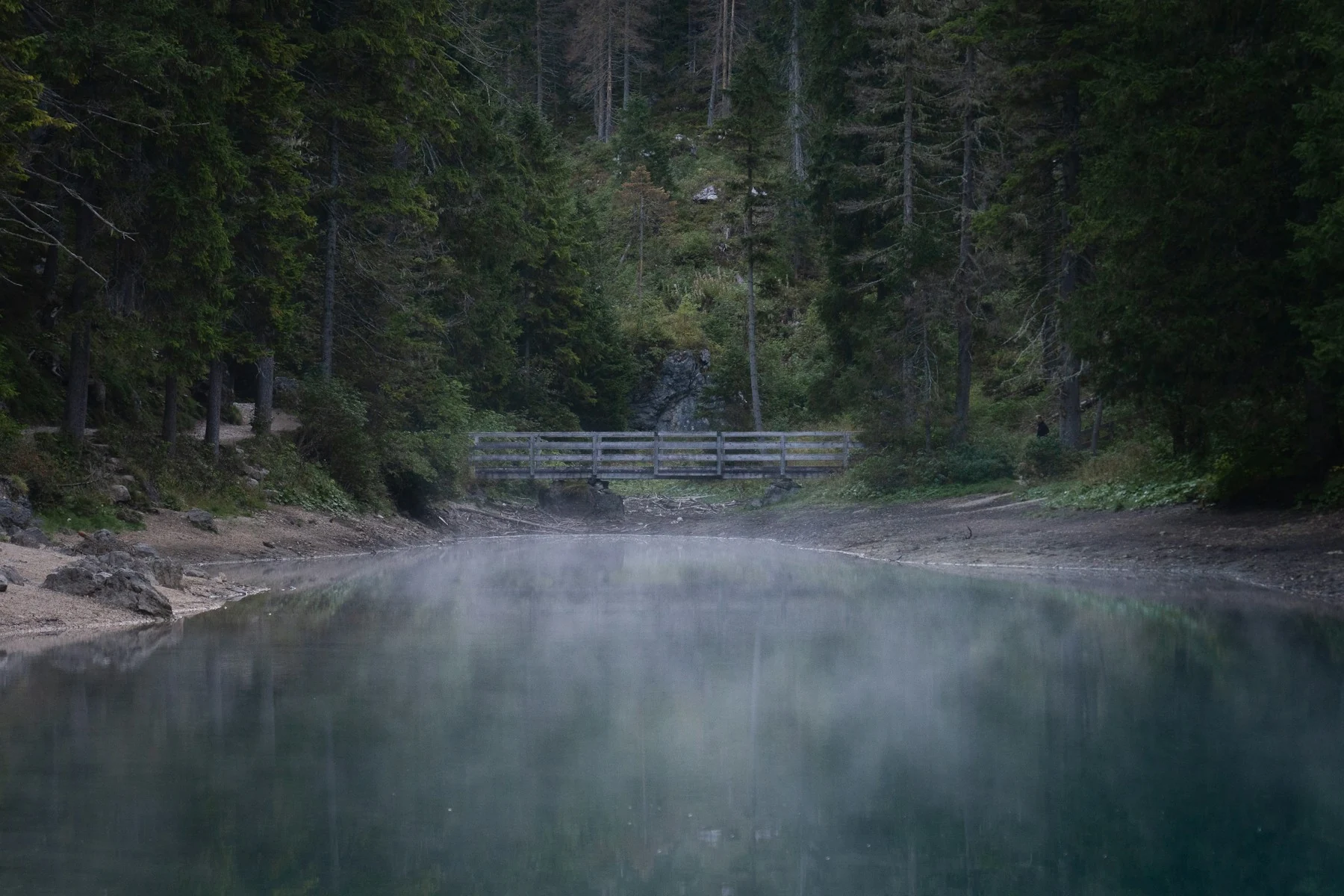 Un sentiero tra gli alberi, sulle rive di un lago alpino